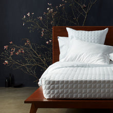 Load image into Gallery viewer, Plain + Perfect